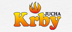 Primary Raster logo